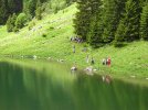 Le lac de Gers